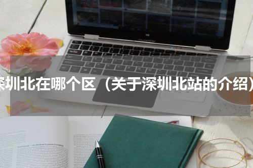 深圳北在哪个区（关于深圳北站的介绍）