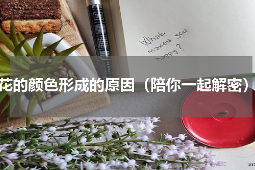 花的颜色形成的原因（陪你一起解密）