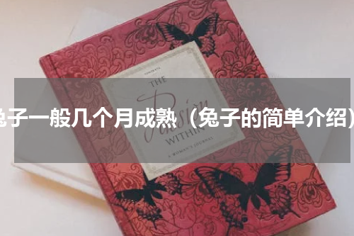 兔子一般几个月成熟（兔子的简单介绍）