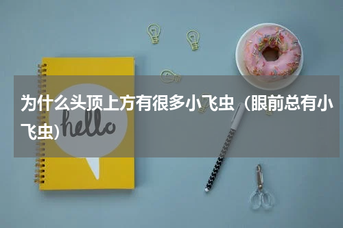 为什么头顶上方有很多小飞虫（眼前总有小飞虫）