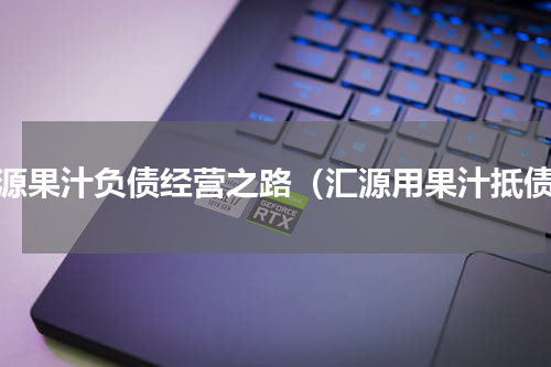 汇源果汁负债经营之路（汇源用果汁抵债）
