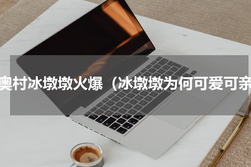 冬奥村冰墩墩火爆（冰墩墩为何可爱可亲）