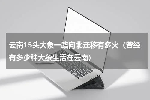 云南15头大象一路向北迁移有多火（曾经有多少种大象生活在云南）