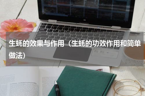 生蚝的效果与作用（生蚝的功效作用和简单做法）