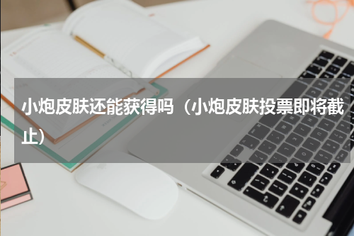 小炮皮肤还能获得吗（小炮皮肤投票即将截止）
