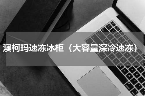 澳柯玛速冻冰柜（大容量深冷速冻）